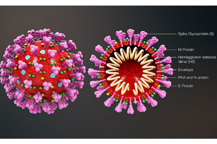 Russia to possibly produce anti-COVID19 drug