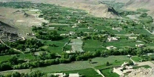 12 Taliban militants killed in Daikundi