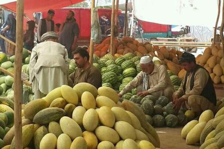 حاصلات خربوزه و تربوز بغلان در سال جاری 10 درصد افزایش یافته است