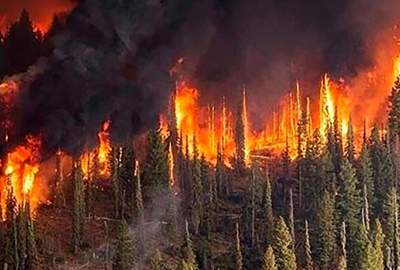 د نورستان په ځنګله کې لګیدلي اور مهار شوي