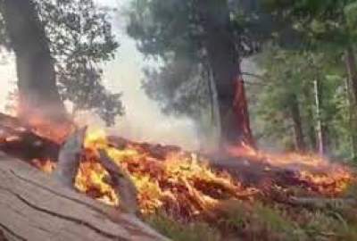 Officials Say Khost Forest Fire is Out, Locals Say It Continues