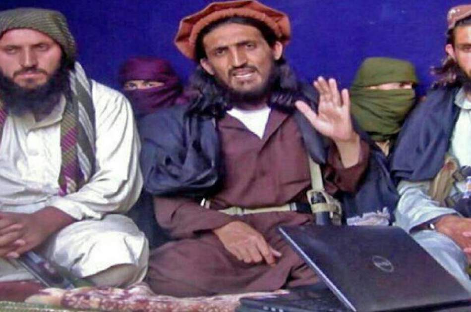 The top commander of the Pakistani Taliban was killed in Paktika