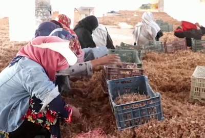 Nearly 200 women employed in Balkh