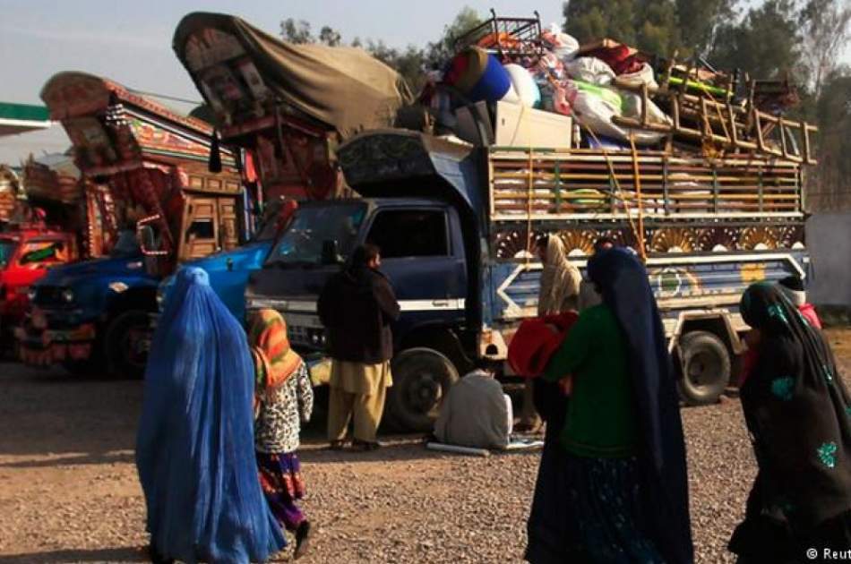 Return of immigrants to Afghanistan; Governor of Ghazni: Citizens should stay in the country, the problems will be solved soon