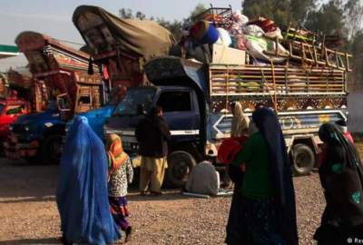 Return of immigrants to Afghanistan; Governor of Ghazni: Citizens should stay in the country, the problems will be solved soon