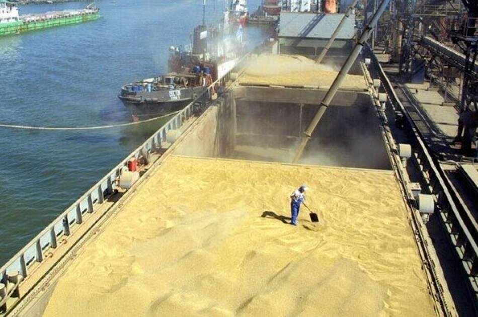 Ukraine sent three ships of wheat to Afghanistan