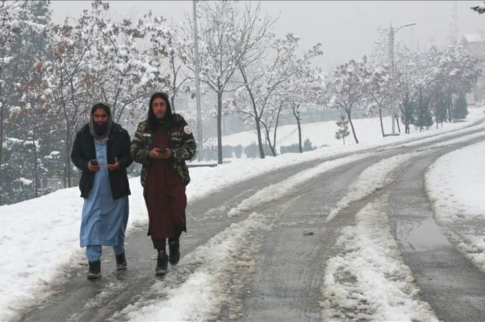 شمار تلفات حوادث طبیعی و گازگرفتگی در کشور به ۱۶۶ نفر رسید