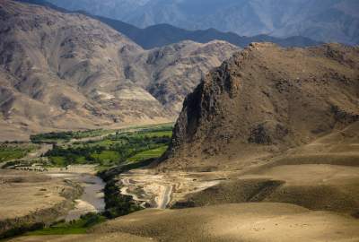 Poppy Farms Eradicated In Laghman