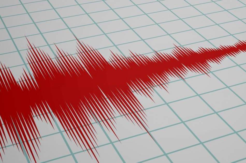 Earthquake shook northern Palestine