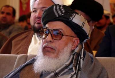 Females Will Get Jobs, Education Within Islamic Framework: Stanekzai