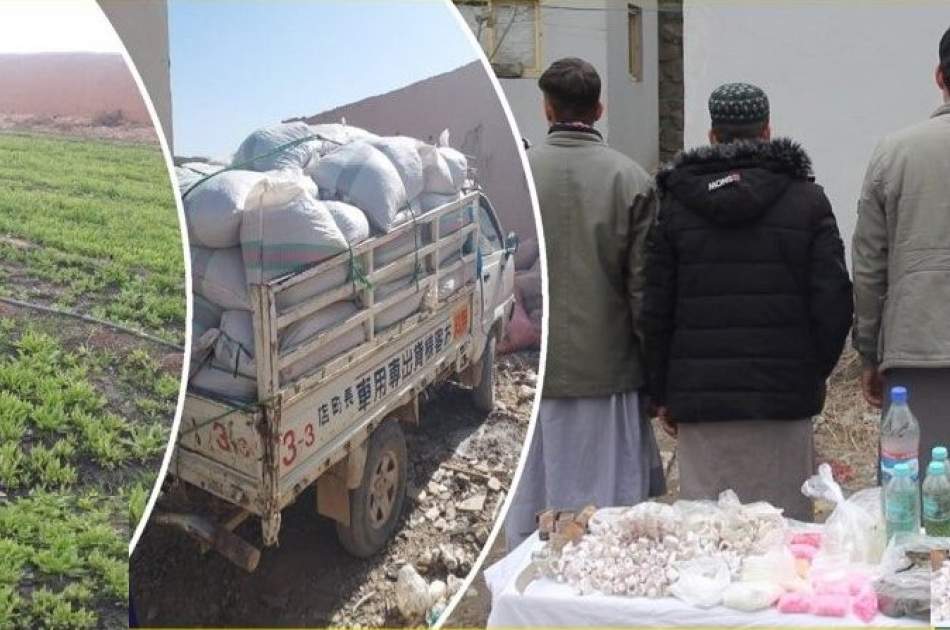 7 Drug Dealers were arrested in 4 Provinces