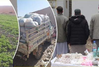 7 Drug Dealers were arrested in 4 Provinces