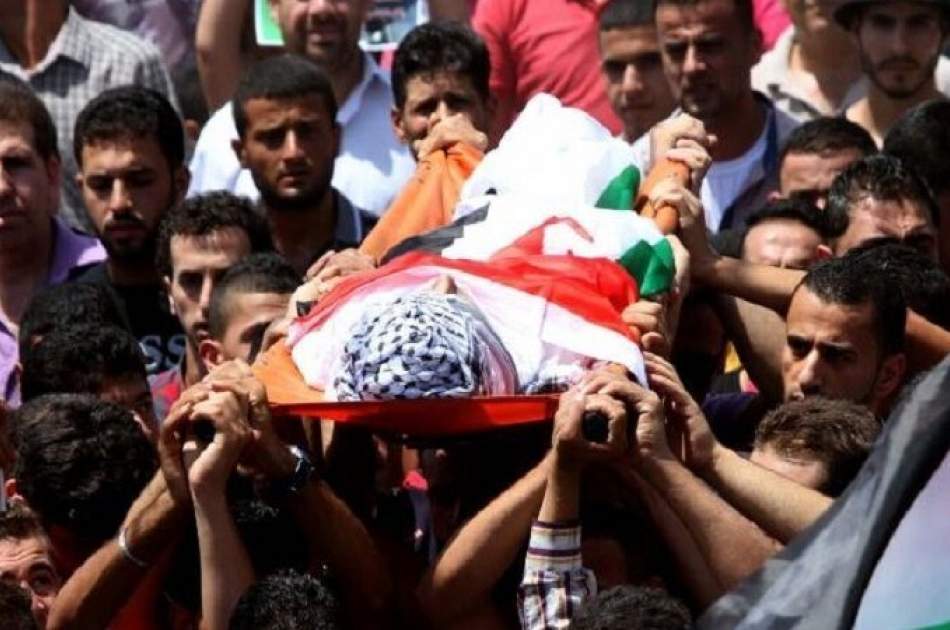 استشهاد 30 فلسطينيا في الشهر الماضي على يد جنود صهاينة