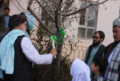 Governor of Bamyan: Education plays an essential role in the development of a nation