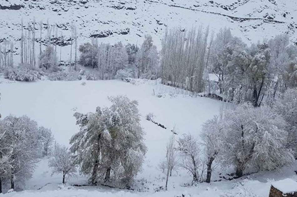 ادامه بارش برف و باران شدید در برخی مناطق غزنی