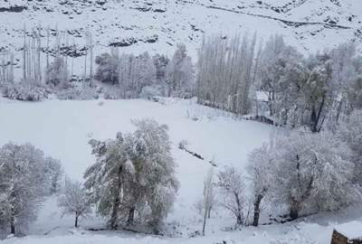 ادامه بارش برف و باران شدید در برخی مناطق غزنی