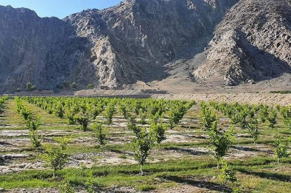 منځنۍ اسیا او قفقاز په دښتو بدلیږي