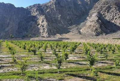 منځنۍ اسیا او قفقاز په دښتو بدلیږي