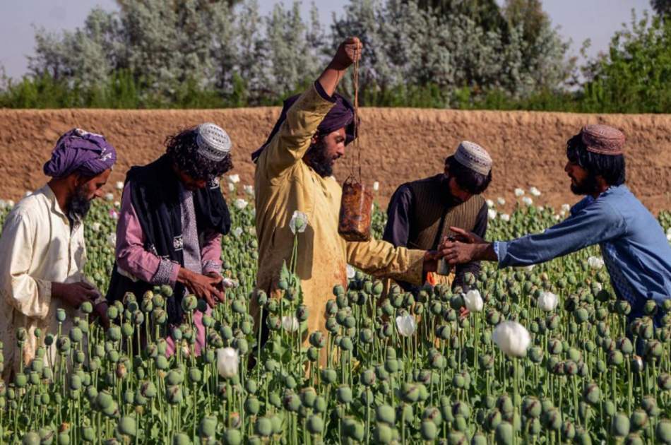 The main channels of buying and selling drugs are located outside the borders of Afghanistan