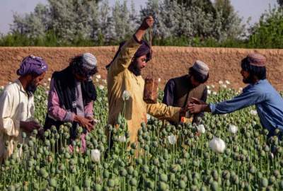 The main channels of buying and selling drugs are located outside the borders of Afghanistan