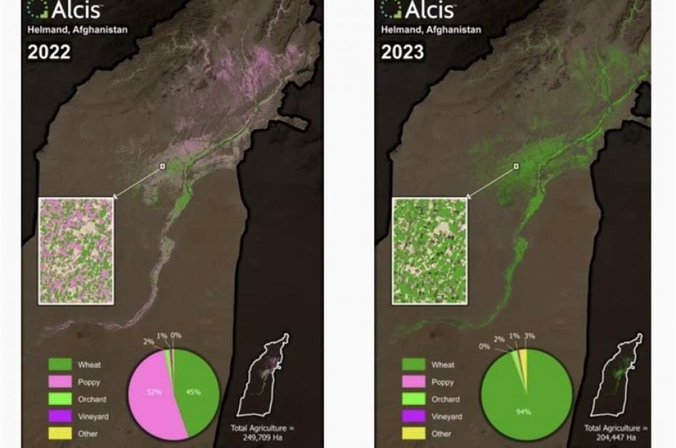 Poppy cultivation in Afghanistan has reached the lowest level in the last two decades / the results of the order to ban the cultivation of narcotics have been unprecedented