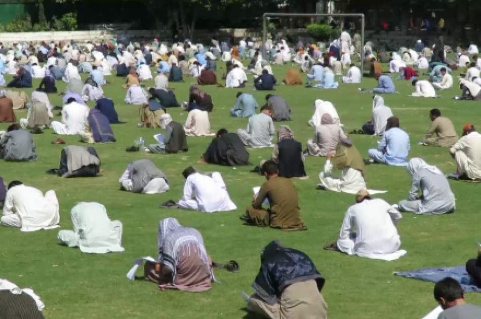 Exam for Graduates of Health Sciences Given in Nangarhar