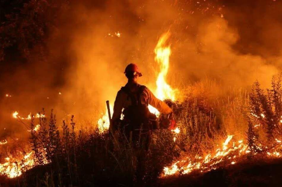 Dangerous heatwaves strike globe as wildfires rage