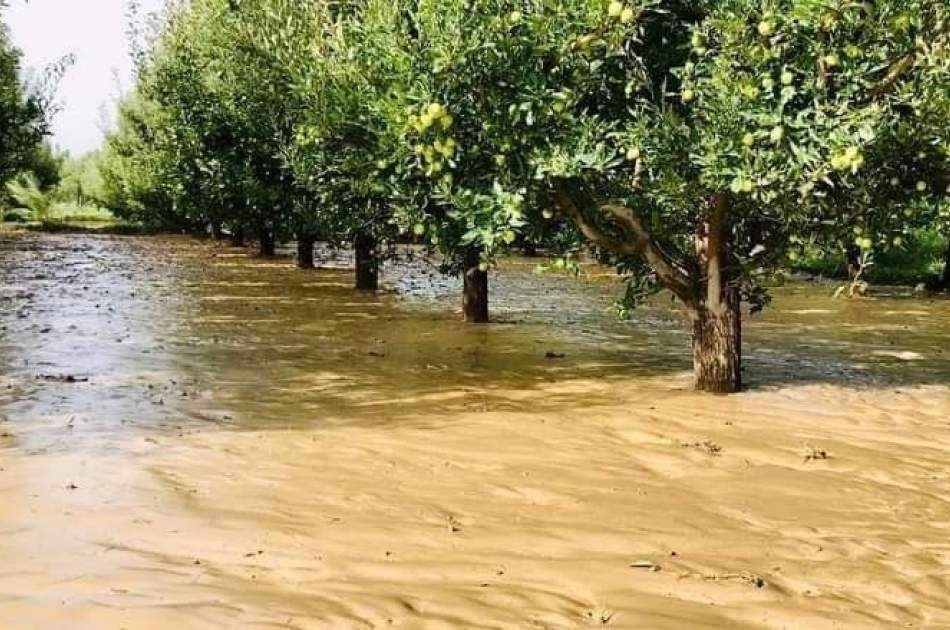 Destruction of two thousand acres of agricultural land due to flood in Ghazni