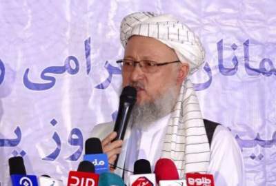 Abdul Salam Hanafi: The policy of the Islamic Emirate is neutrality in global developments