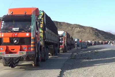 Afghanistan’s exports volume of agricultural products has increased significantly