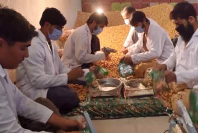 $600 Million Kandahar Dried Fruit Will Export This Year