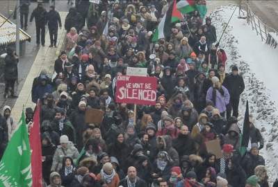 Hundreds of Swedes protest in solidarity with Palestinians