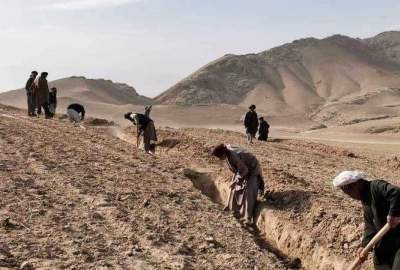 د سمنګان ولایت د ځنګلونو د بیارغونې او ساتنې په پروژه کې ۱۰۰ تنو ته د کار زمینه برابره شوه