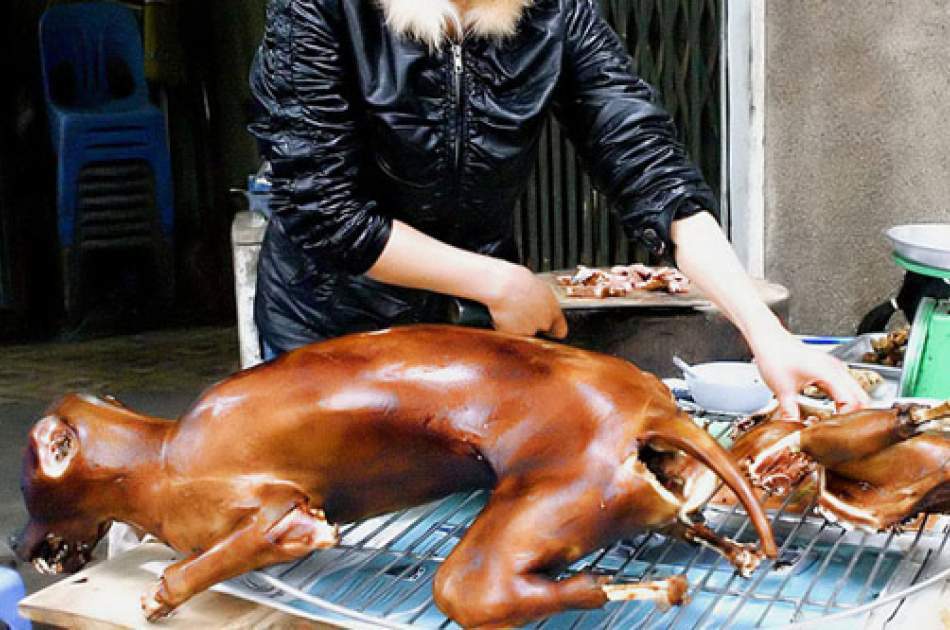 South Korea has banned the sale of dog meat