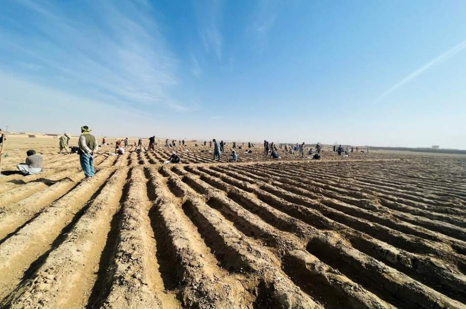 سرمایه‌گذاری یک میلیون و 200 هزار دالری در بخش پرورش هنگ در ولایت قندوز