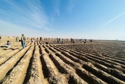 سرمایه‌گذاری یک میلیون و 200 هزار دالری در بخش پرورش هنگ در ولایت قندوز