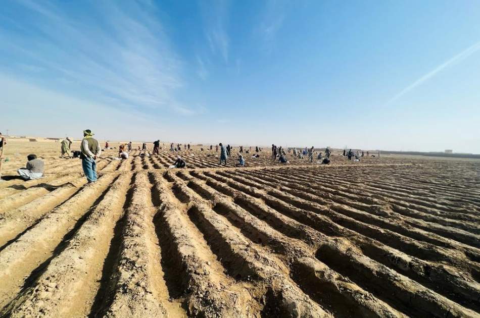 Investment of one million and 200 thousand dollars in the breeding sector in Kunduz province