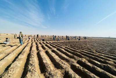 Investment of one million and 200 thousand dollars in the breeding sector in Kunduz province