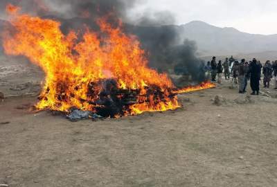 آتش زدن ۸ تن مواد مخدر در هلمند؛ ۲۷۶ نفر بازداشت شدند