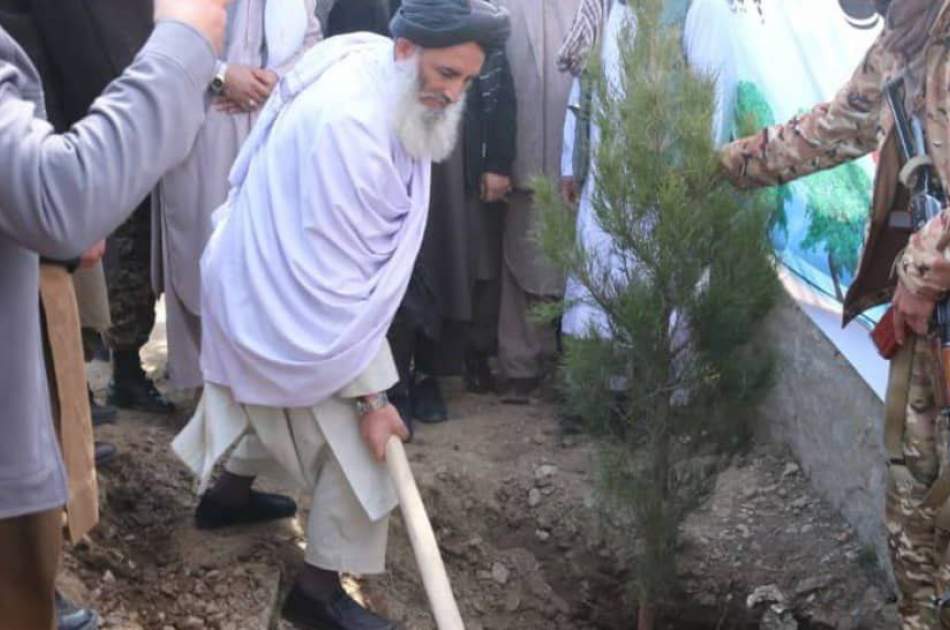 آغاز کمپاین نهال‌شانی در ولایات پنجشیر و پروان