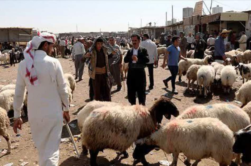 مجمع فقهی عراق: به جای قربانی کردن، می‌شود هزینه آن را به غزه فرستاد