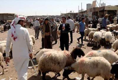 د عراق د فقهې شورا: د قربانۍ پر ځای دې غزې ته لګښت ولېږل شي