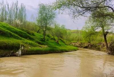 افزایش گردشگران داخلی و خارجی نسبت به سال گذشته در سرپل  <img src="https://cdn.avapress.net/images/picture_icon.png" width="16" height="16" border="0" align="top">