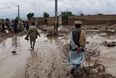 افزایش شمار تلفات طوفان و سیلاب در ننگرهار به ۴۷ نفر/حدود ۴۰۰ خانه ویران شدهاست افزایش شمار تلفات طوفان و سیلاب در ننگرهار به ۴۷ نفر/حدود ۴۰۰ خانه ویران شدهاست