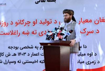 تاکید سرپرست وزارت زراعت بر حمایت از بخش مرغداری در کشور