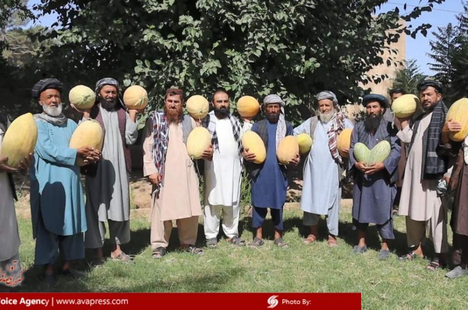 برگزاری برنامه فرهنگی «خربوزه دیار جوزجانان» به مناسبت فصل برداشت خربوزه