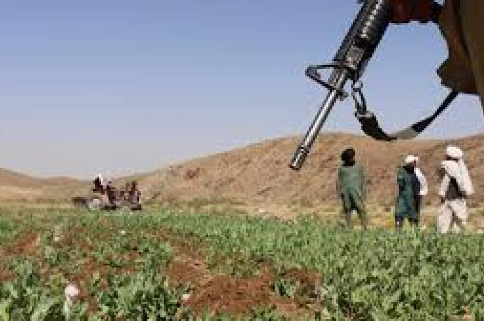 گزارش سیگار؛ امریکا با وجود صرف ۹ میلیارد دالر اما در مبارزه با مواد مخدر افغانستان شکست خورد