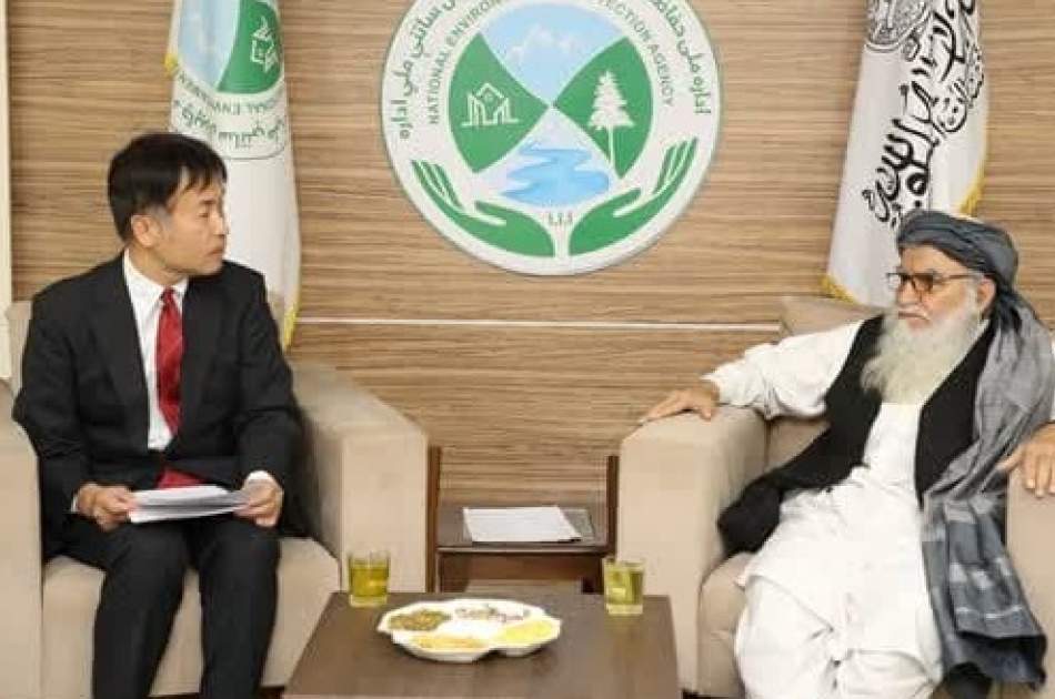 NEPA Engages with Japanese Ambassador for Support in Clean Energy Initiatives