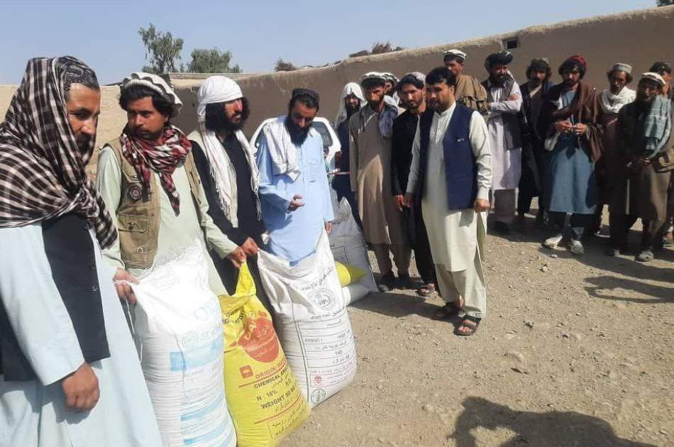 Distributing modified wheat seeds and chemical fertilizers to dozens of farmers in Khost