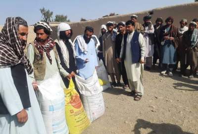 Distributing modified wheat seeds and chemical fertilizers to dozens of farmers in Khost